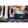 Yeti Boomer 4 Dog Bowl